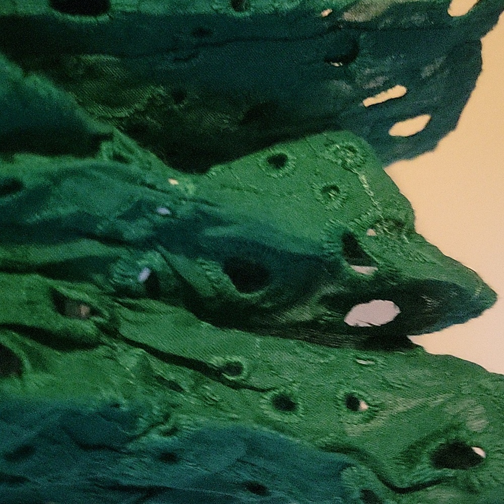 Dark Green Eyelet Blouse - Picture 3 of 6